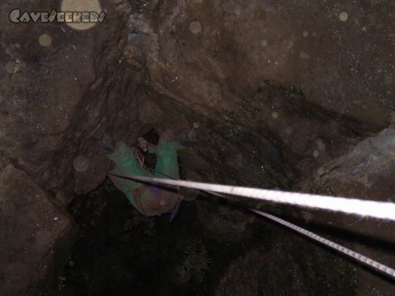 Grundlose Grube: Ein Riesenarsch.