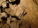 Grundlose Grube - Der einzige Sinter, gefunden im Deckenloch