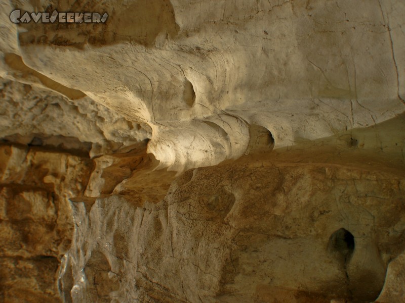 Gustav Jacob Höhle: Wunderbares Profil. Ohne Neurose.