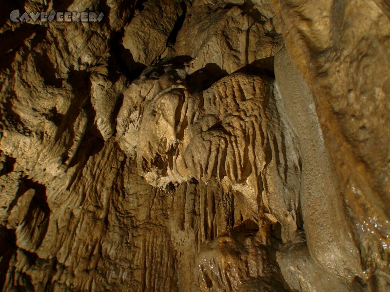 Gustav Jacob Höhle: Die erste Halle.