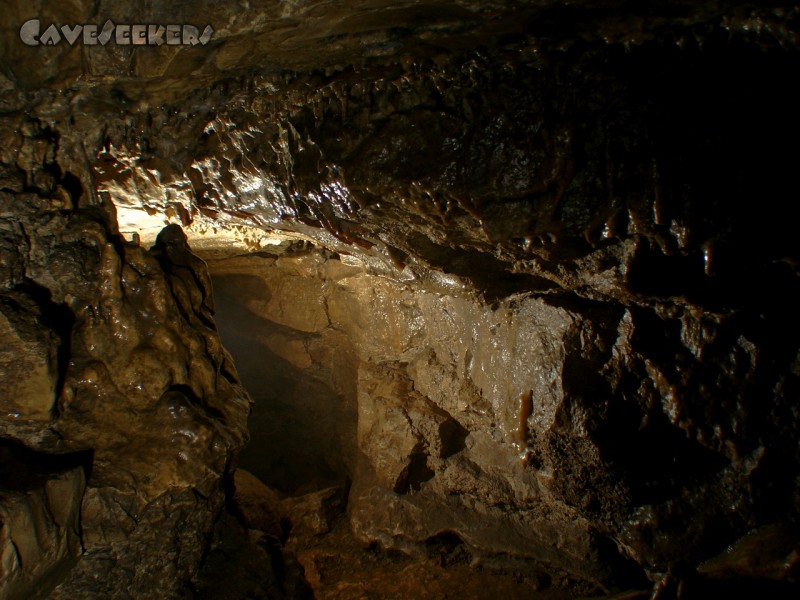 Gustav Jacob Höhle: Und weiter in gebückter Haltung.