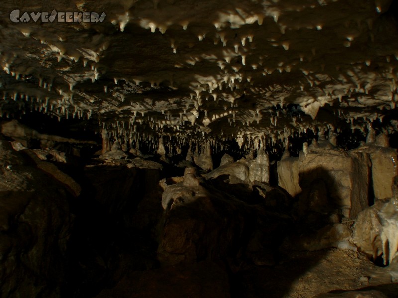 Gustav Jacob Höhle: Noch ne kleine Halle. Und dann ist Schicht.