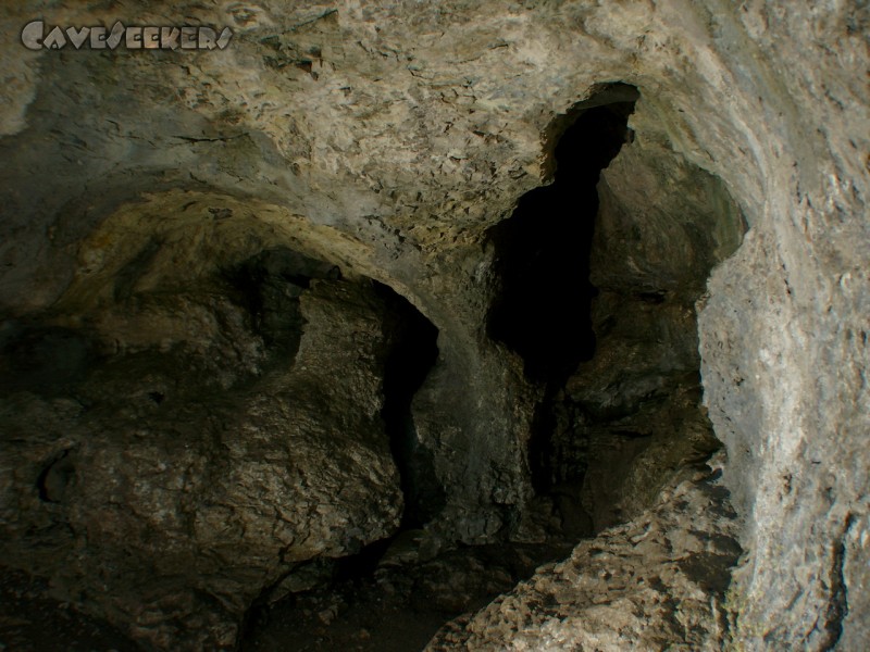 Gustav Jacob Höhle: Der Eingang - für die, die in dieses Loch hier einchecken.
