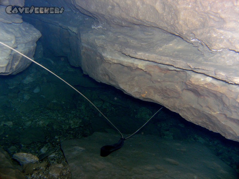 Hausener Bröller: Unterwasseransicht.