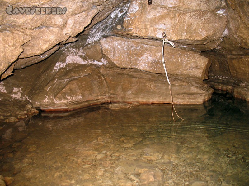 Hausener Bröller: Am 1. Siphon - diesmal mit eher wenig Wasser.