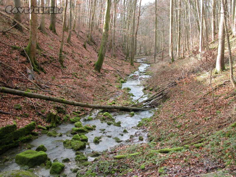 Heinzengrabenhöhle: Ein Flüsslein, welches angeblich normalerweise ehe