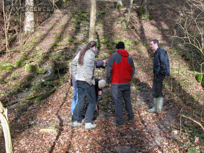 Heinzengrabenhöhle: ... und ein paar gestörte stöbern im Waldboden ...