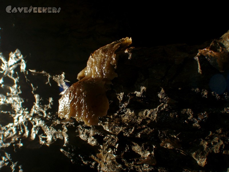 Heinzengrabenhöhle: Das Schönste im Loch. Komplett unterspülter Sinterfall.