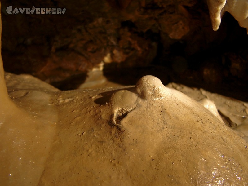 Helmloch: Die Brust. Beeindruckend.