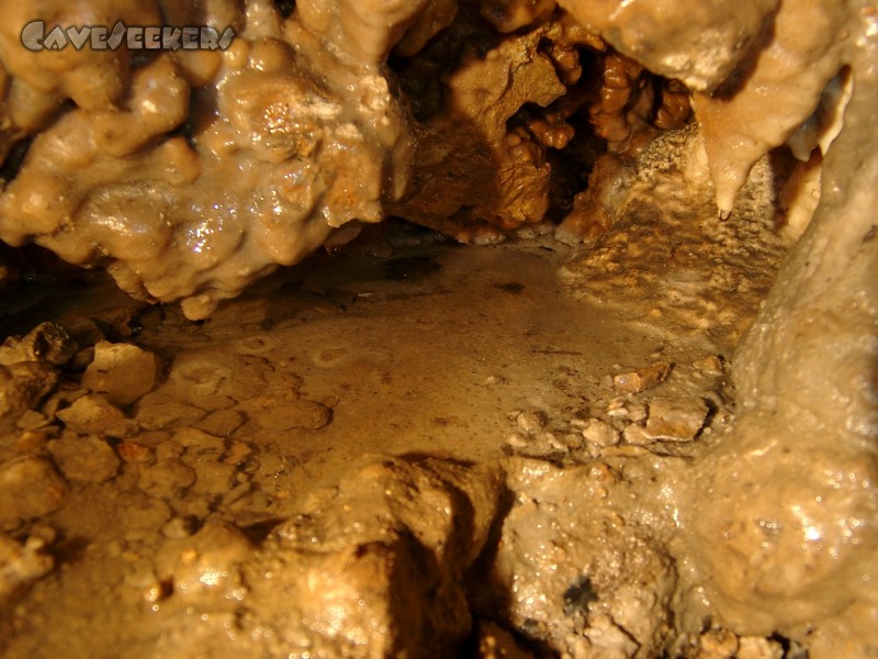 Helmloch: Der Höhlenforscher erkennt anständiges Sinterwachstum im Sinterbecken.