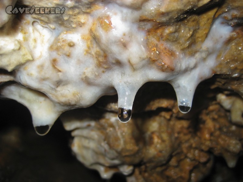 Helmloch: Makro-Möller.