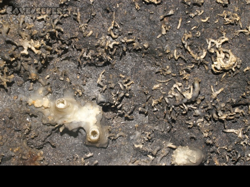 Hennerloch: Nochmal die Decke