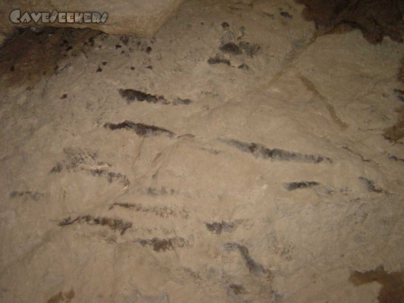 Hirlatzhöhle: Höhlensturm, je nach Windrichtung fällt der Tropfen links oder rechts.