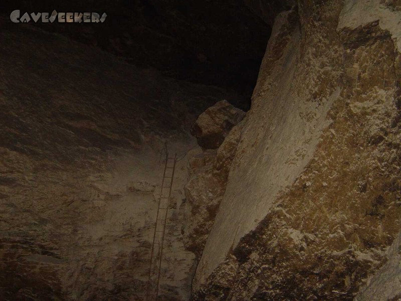 Hirlatzhöhle: Leiter zum Biwak 2 alter Teil.