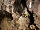 Höhgassen Höhle - Trotz der vielen Feuchtigkeit im Loch, existiert auch ein trockenes Plätzchen.