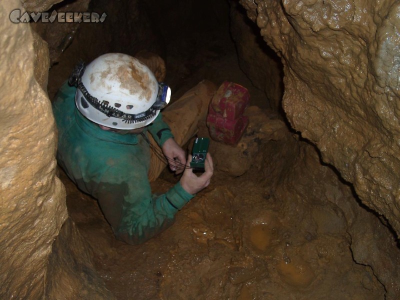 Höhle in Loch: Angenehm im Dreck gelagert, wird die Position überprüft.