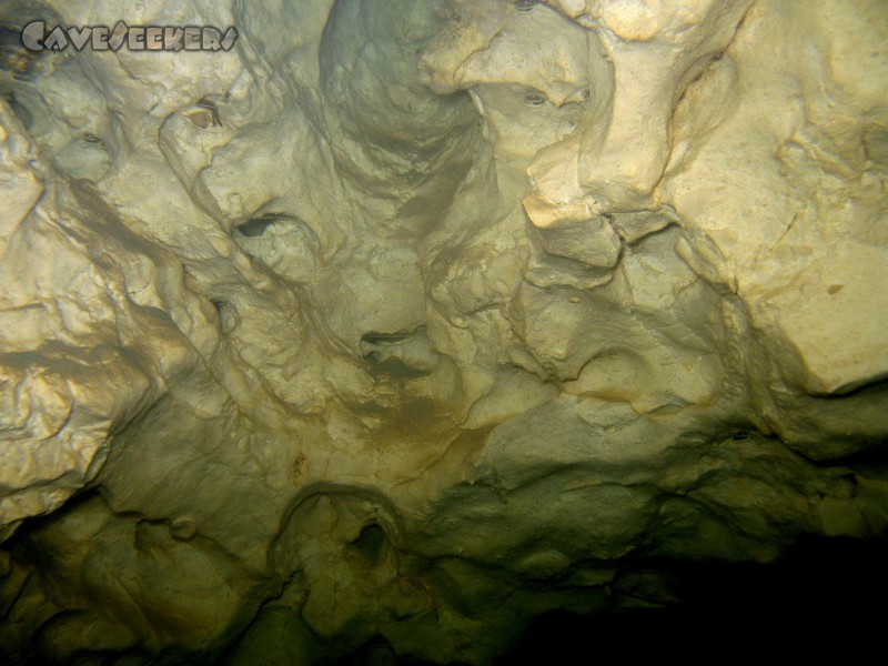 Höhnbergtunnelhöhle: ...