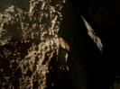 Hölzerberghöhle - Ausschlag mit Wucherung.