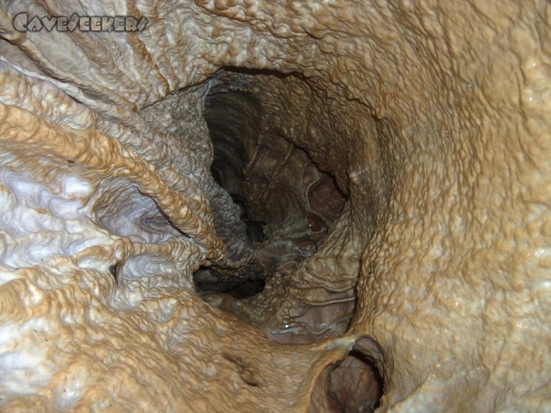 Hohberghöhle: 1A Versinterungen.