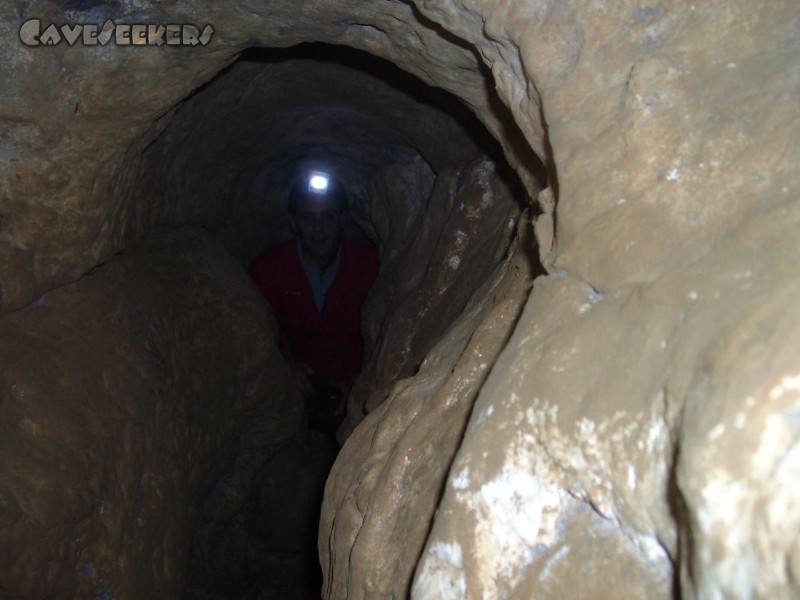 Hohberghöhle: Hopf - noch relativ beweglich.