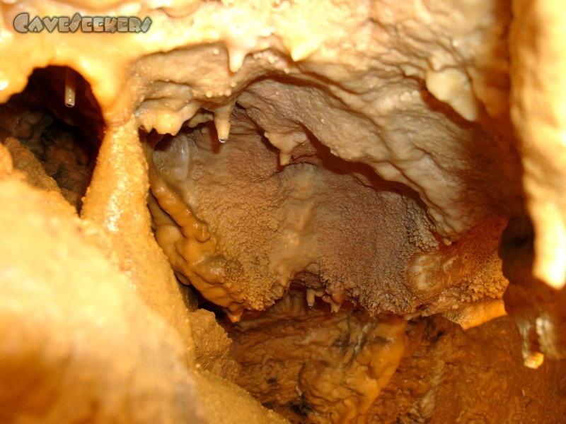 Hohberghöhle: Sinter.