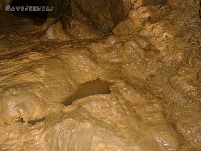 Hohberghöhle: Kleines Sinterbecken.