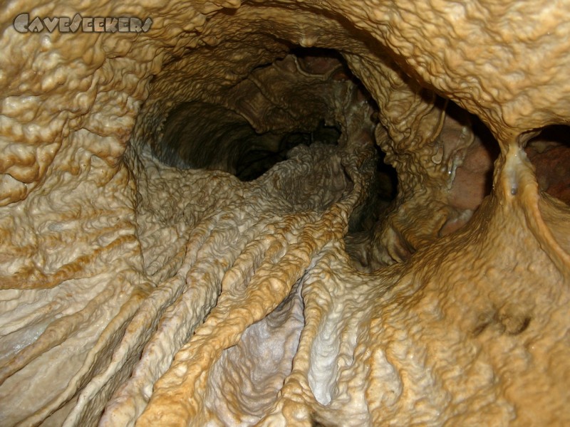 Hohberghöhle: Das korrekteste CaveSeekers-Bild in Neuauflage.