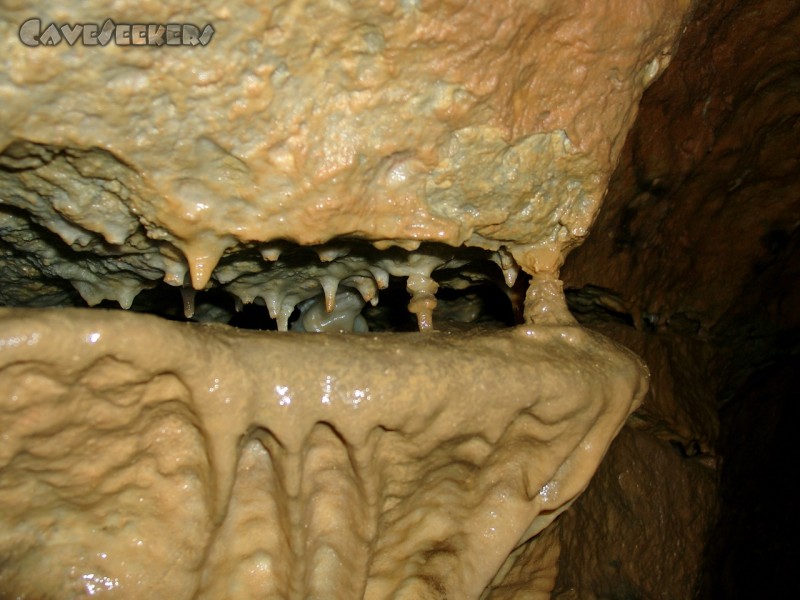 Hohberghöhle: Frischer Sinter.