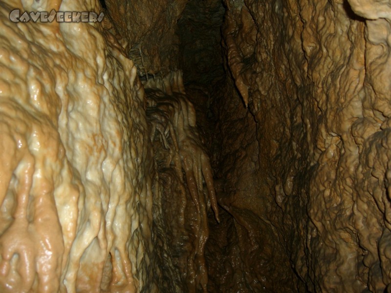 Hohberghöhle: Lebender Sinter im Spalt.