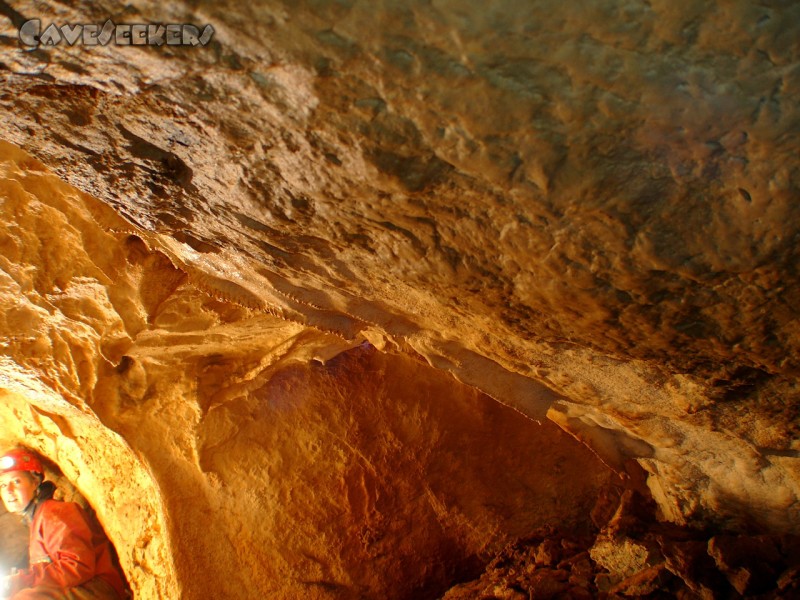 Hohberghöhle: Guckst du.