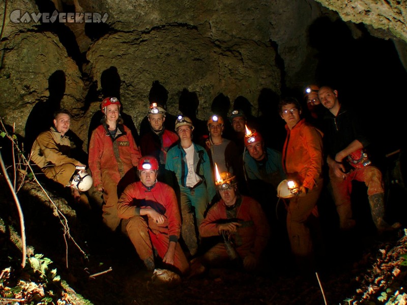 Hohberghöhle: Erstaunlich viel Biomasse - frisch aus der Hohberghöhle.