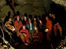 Hohberghöhle - Erstaunlich viel Biomasse - frisch aus der Hohberghöhle.