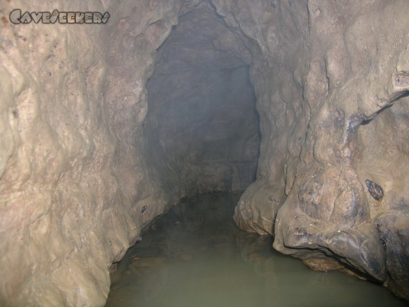 Hohlloch H.: Ratzengang 1.