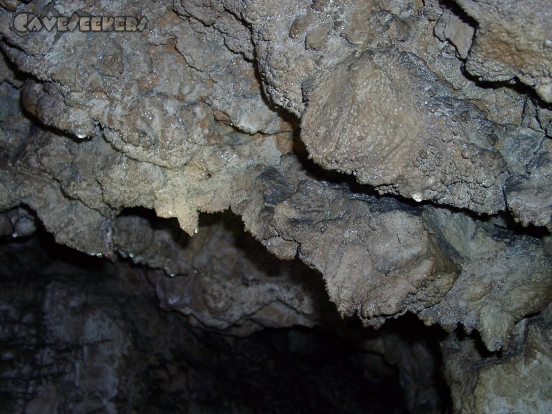 Hungenberghöhle: Warzensinter, grau.