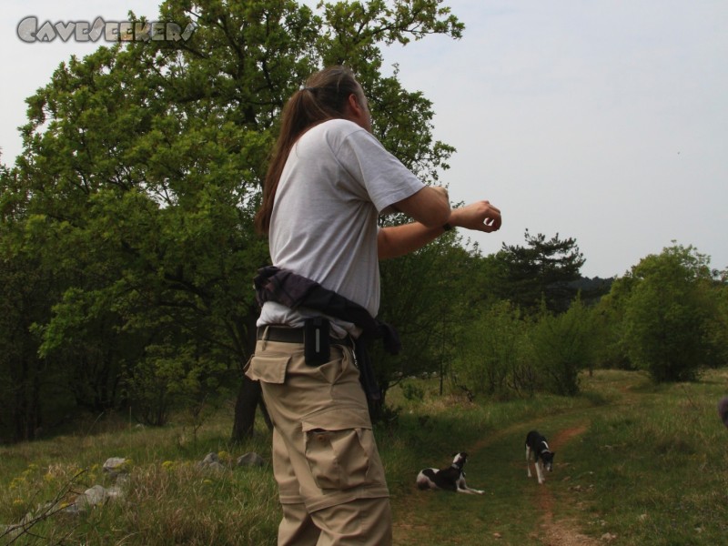 Jama Puffoczkikrass: Herr Wipplinger in Rage. Nicht in der Lage zu begreifen, wie man im Jahre 2011 kopflos im Feld umherirren kann - nur mit einem slowenischen Schriftstück in der Hand. Man beachte die beiden Hunde im Hintergrund. Beide noch wohlauf.