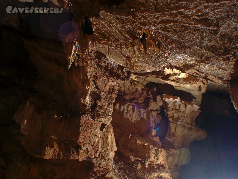 Jama Za Teglovko: Leichter Deckensinter - wachsend, mit dezentem blauen Fleck.