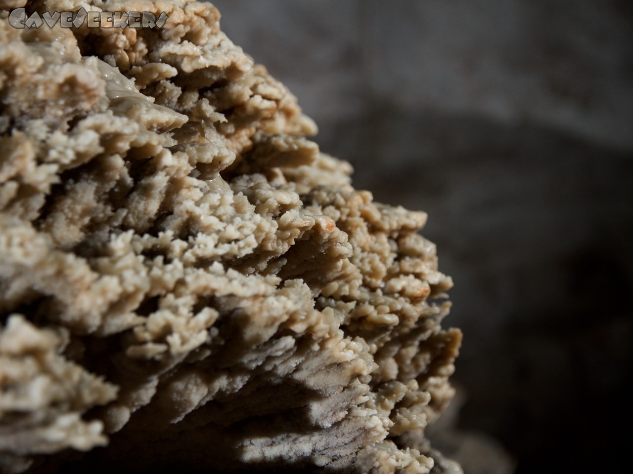 Jama pod Gavgami: Damit auch die Makrofotografie nicht zu kurz kommt, wurde dies abgelichtet.