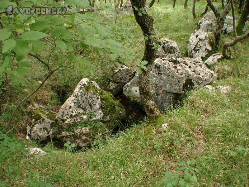 Jama v Partu pri ogradi: Eingang.