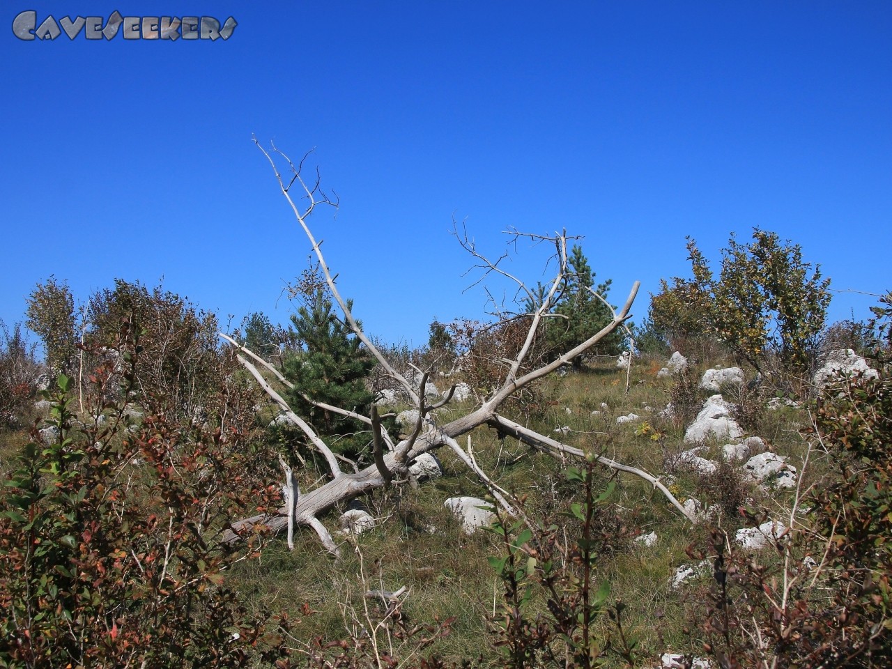 Janina: Wetter wie im Himmel. Jeden Tag. Man könnte Kotzen vor Glück.