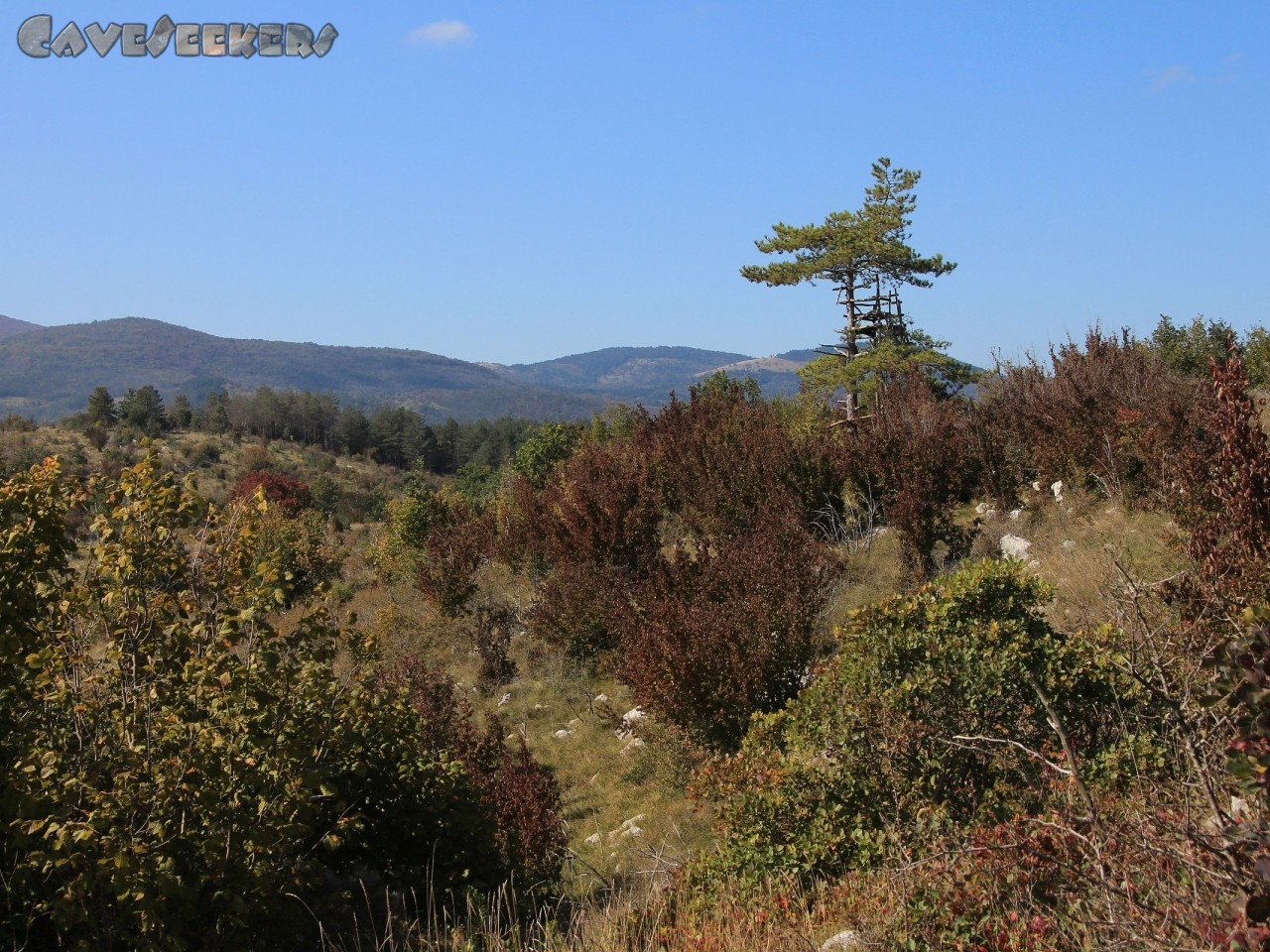 Janina: Noch mehr Kotzen.