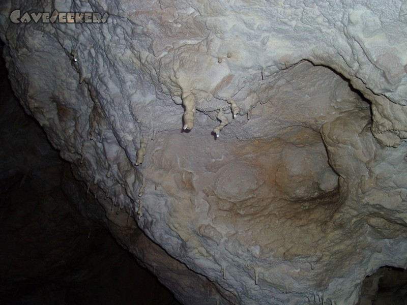 Jubiläumshöhle: Merkwürdiges Tropfsteinwachstum.