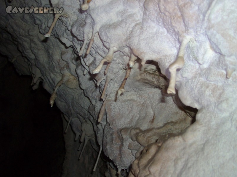 Jubiläumshöhle: Merkwürdiges Tropfsteinwachstum 2.