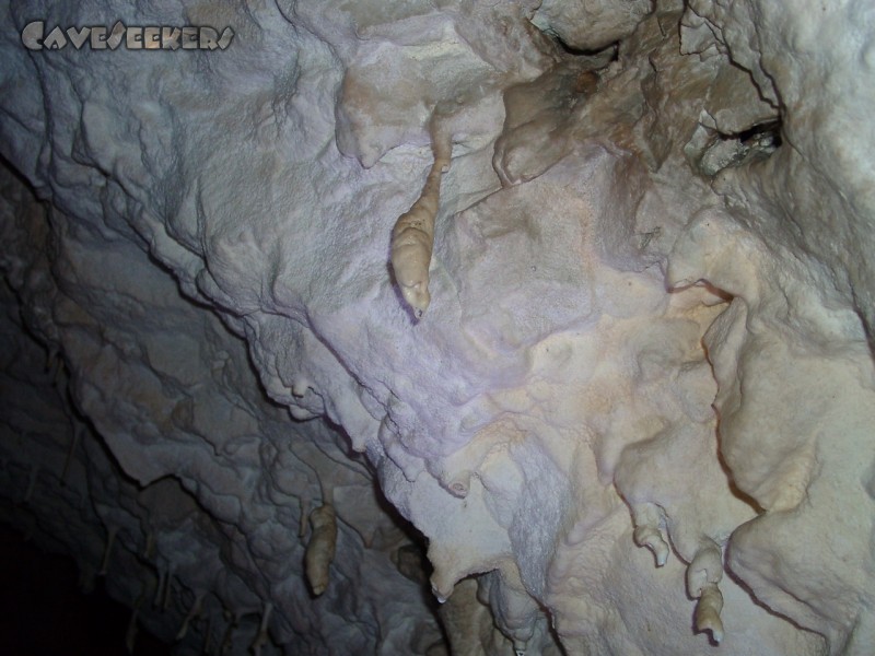 Jubiläumshöhle: Krüppeltropfstein.