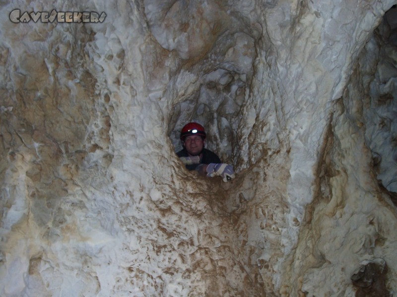 Jubiläumshöhle: Herr Schwarm in der Empore,