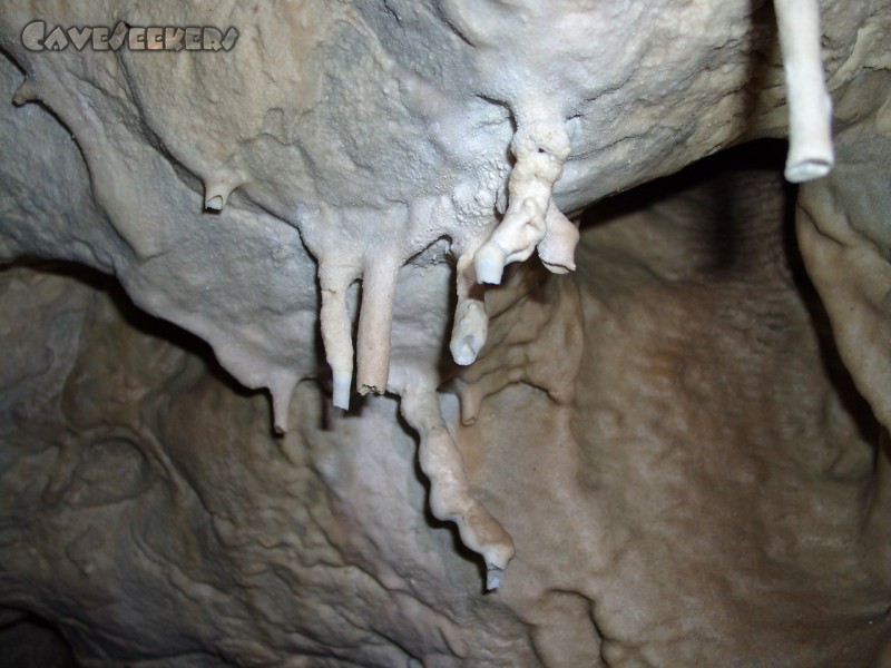 Jubiläumshöhle: Merkwürdiges Tropfsteinwachstum 3.