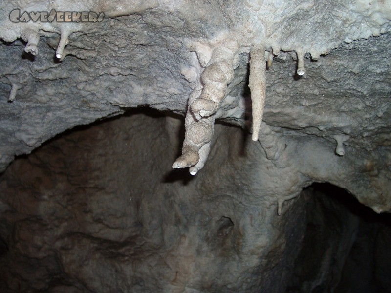 Jubiläumshöhle: Merkwürdiges Tropfsteinwachstum 6.