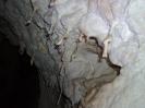 Jubiläumshöhle - Merkwürdiges Tropfsteinwachstum 2.
