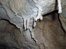 Jubiläumshöhle - Merkwürdiges Tropfsteinwachstum 3.