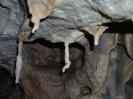Jubiläumshöhle - Merkwürdiges Tropfsteinwachstum 4.
