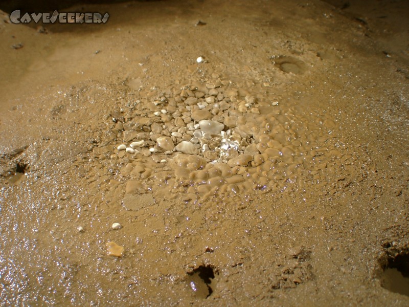 Kacna Jama: Dort wo Sinter zu finden ist, herrscht das blühende Leben. Hier in Form von reichlich frischem Wasser von der 50 Meter entfernten Höhlendecke.